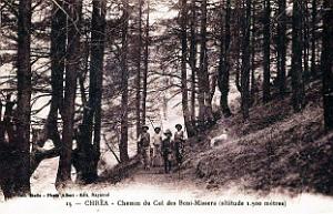 Chrea - Chemin du Col des Beni-Missera
